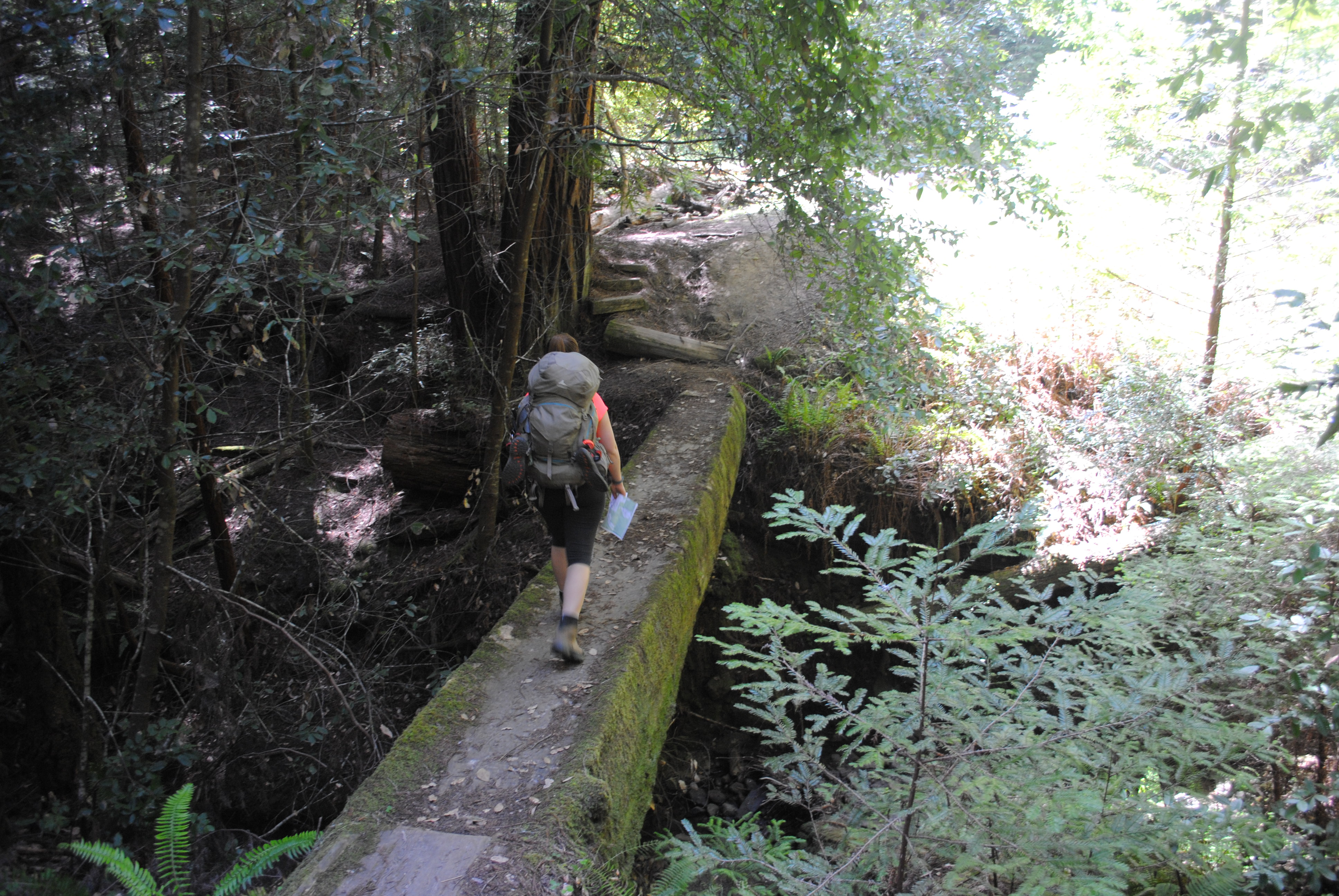 Sam McDonald Park Loop