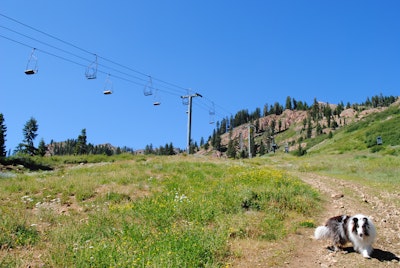 Hike to Lake Estelle and Five Lakes, Alpine Meadows Base Camp