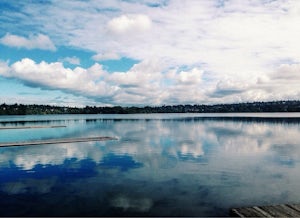 Swim at Green Lake