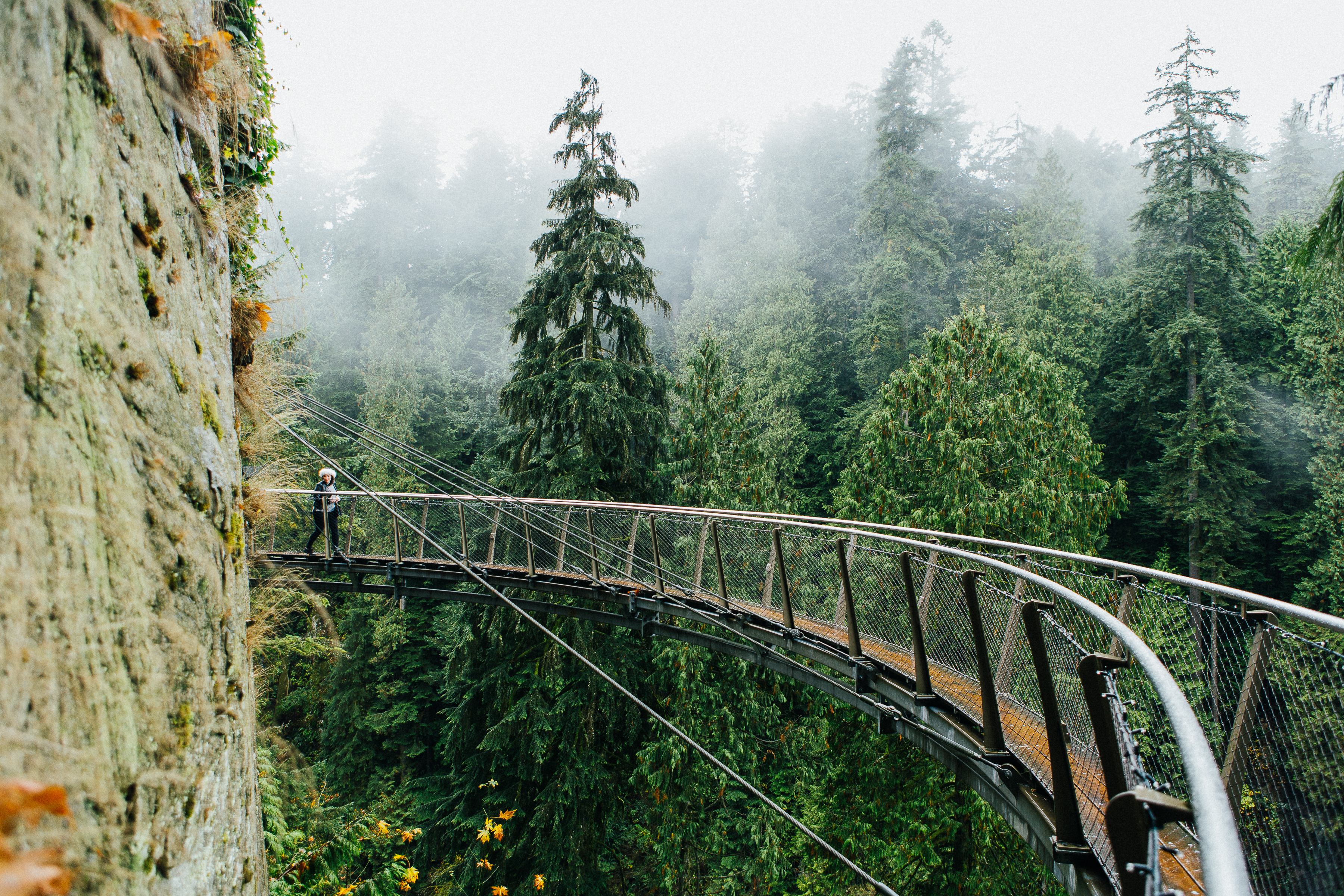 Capilano Suspension Bridge