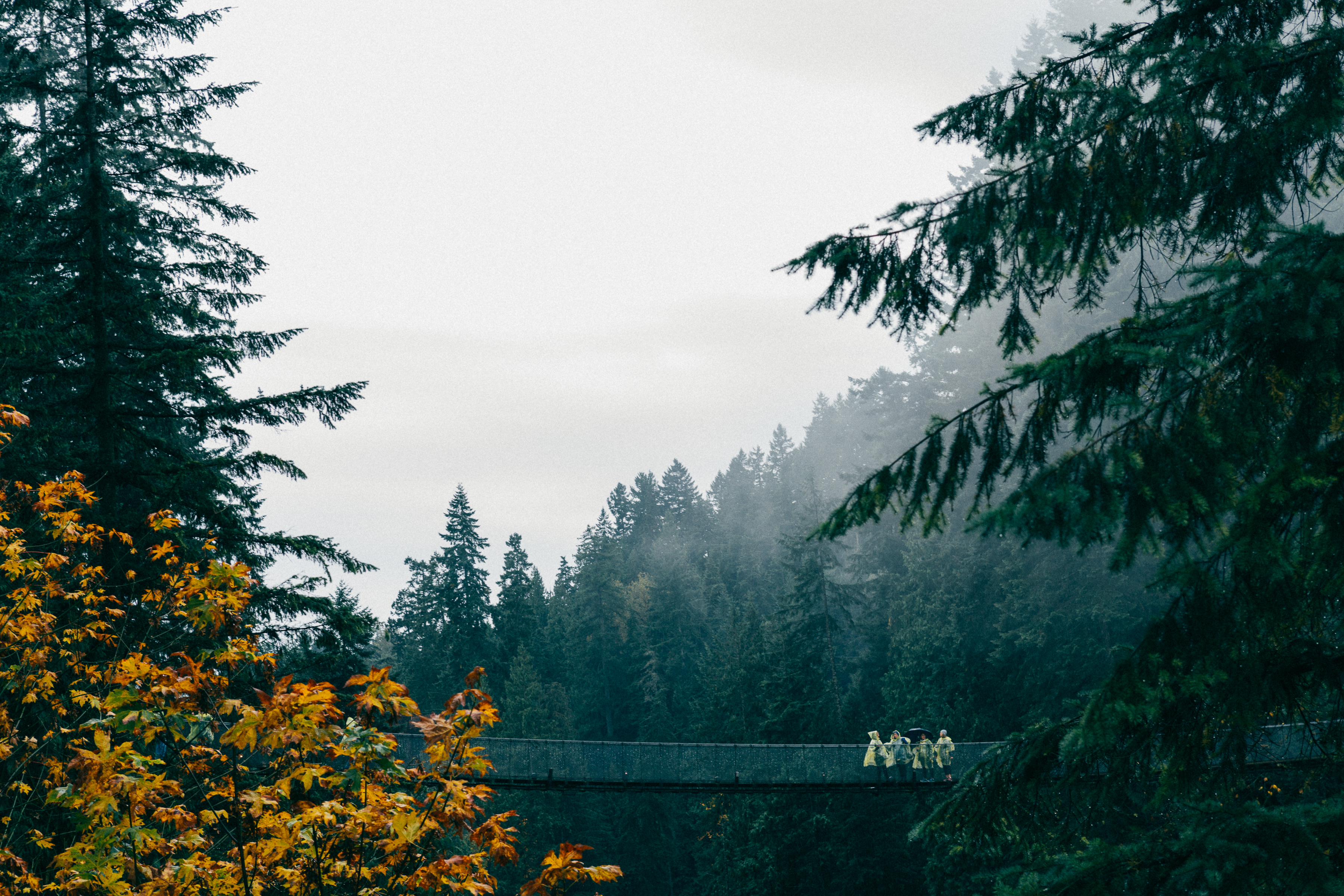 Capilano Suspension Bridge