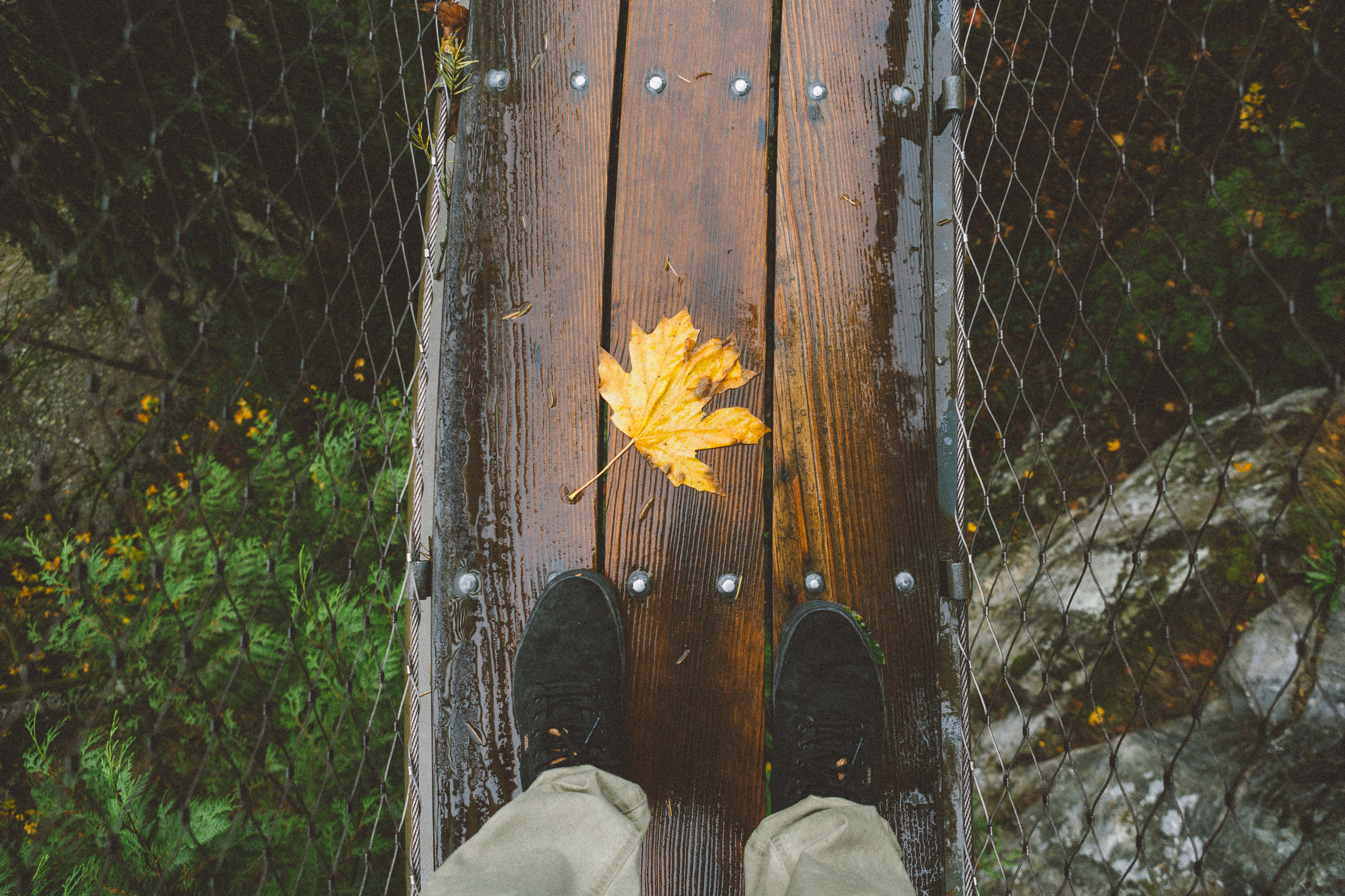 Capilano Suspension Bridge