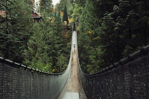 Explore the Capilano Suspension Bridge