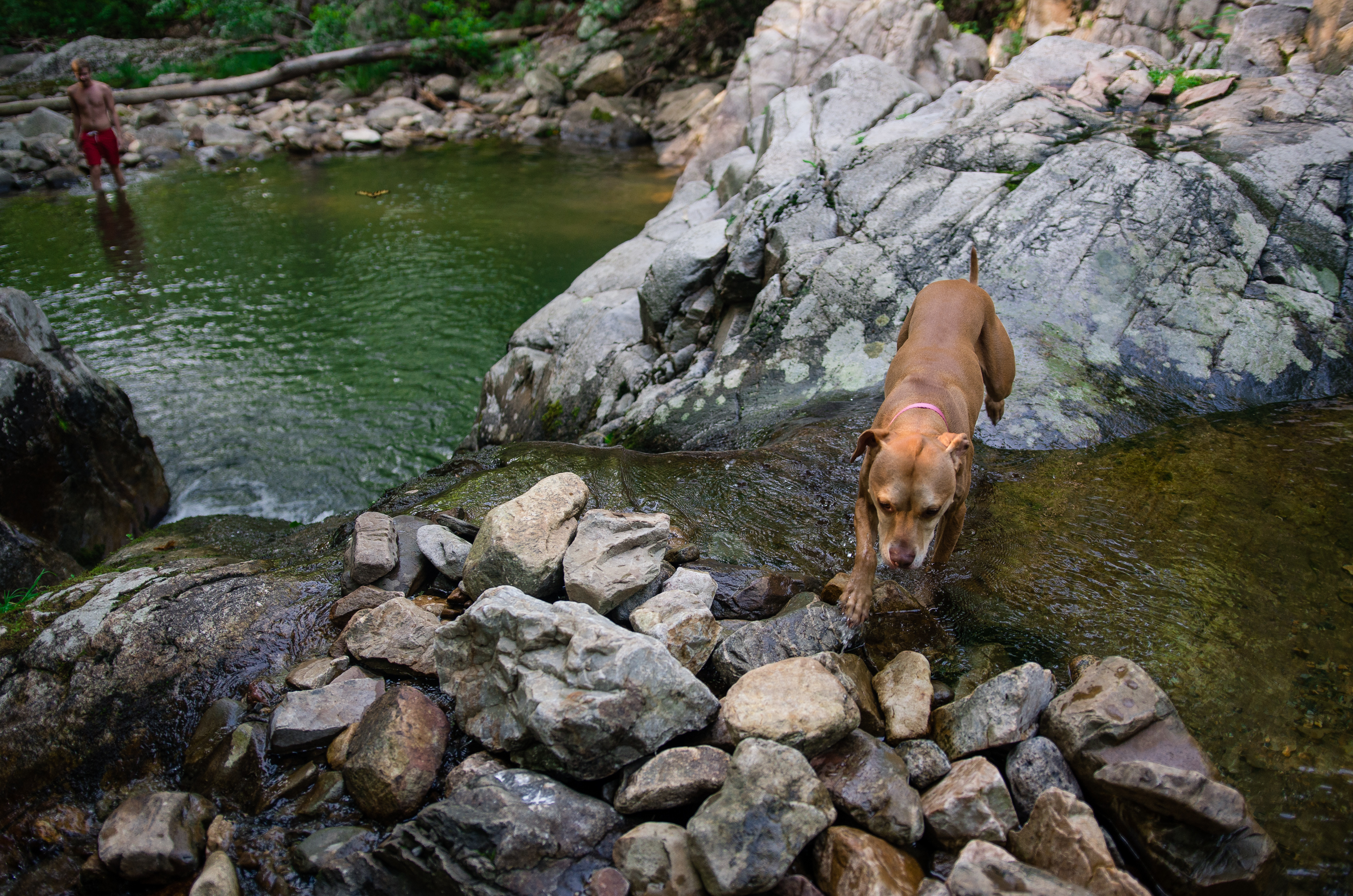 Swim at Arnold Valley Pool