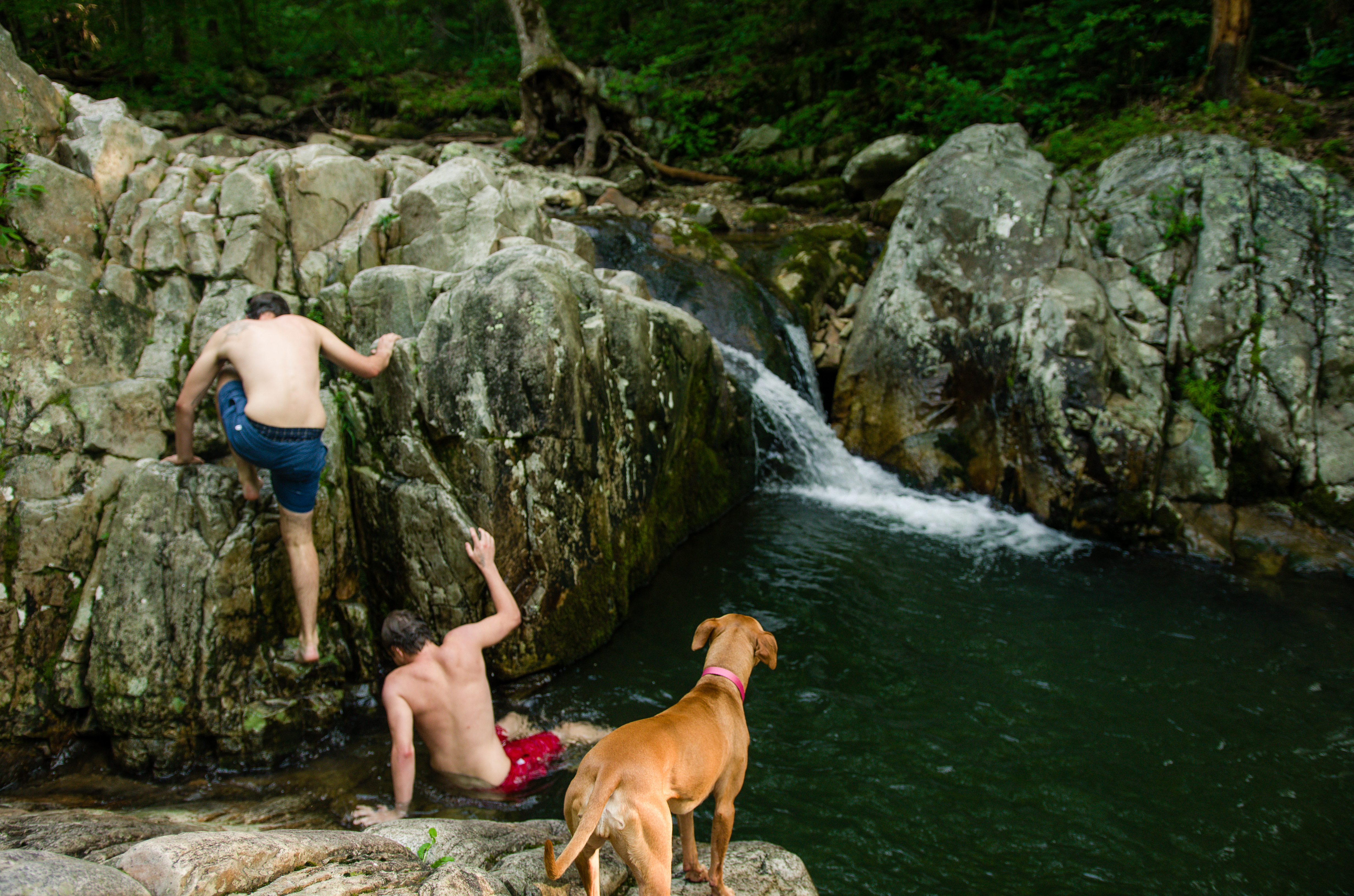 Swim at Arnold Valley Pool