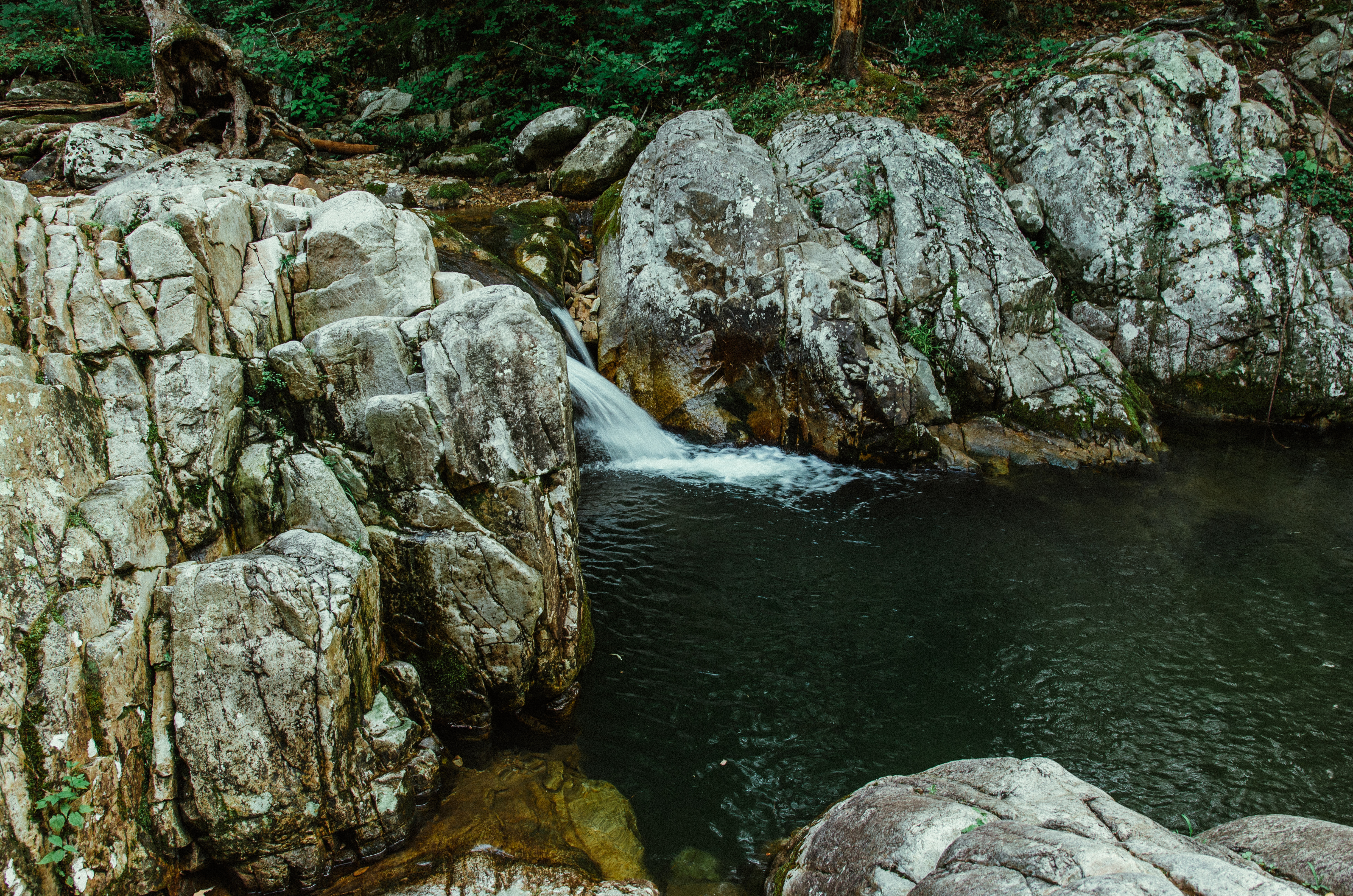 Swim at Arnold Valley Pool
