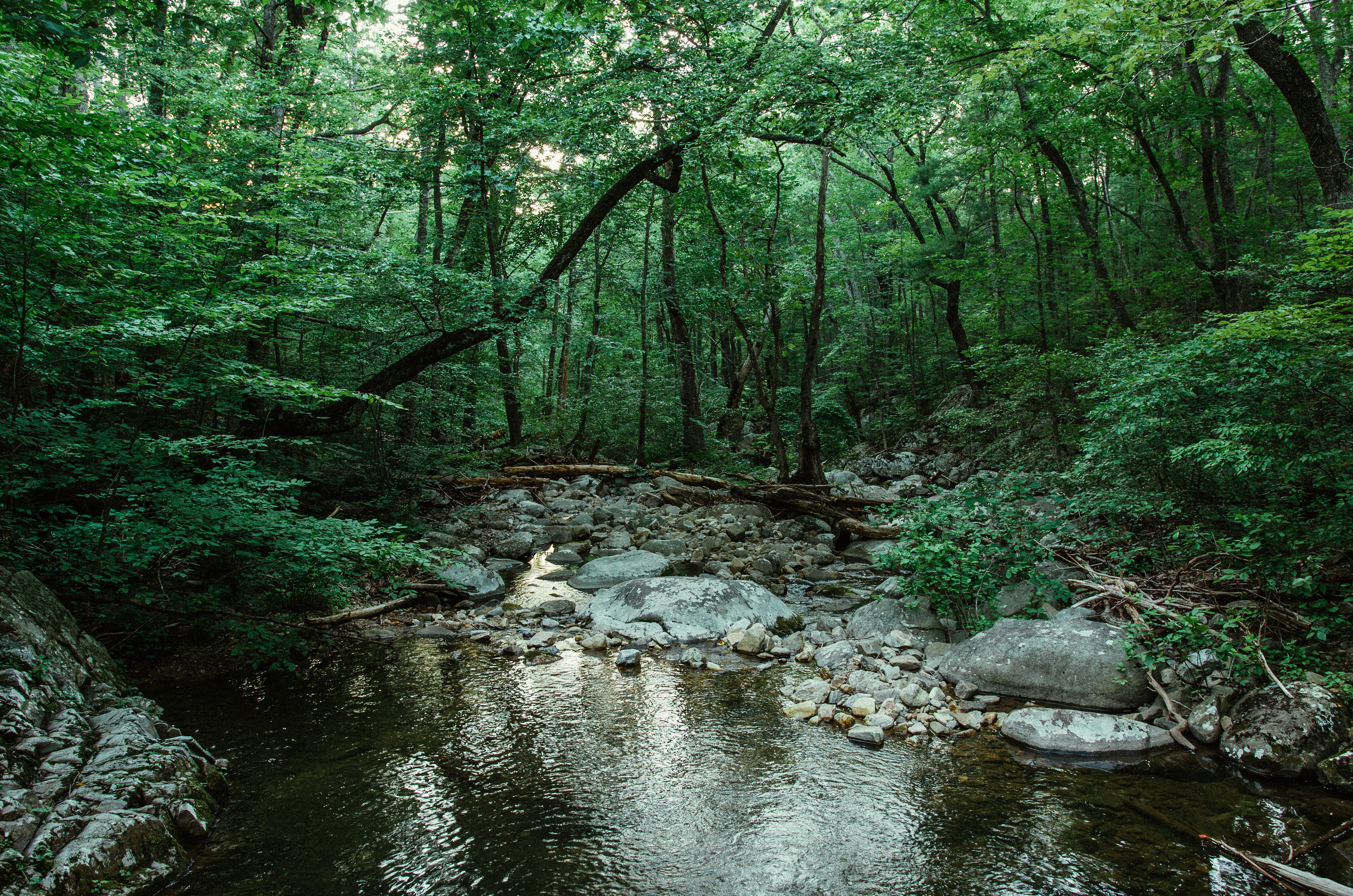 Swim at Arnold Valley Pool