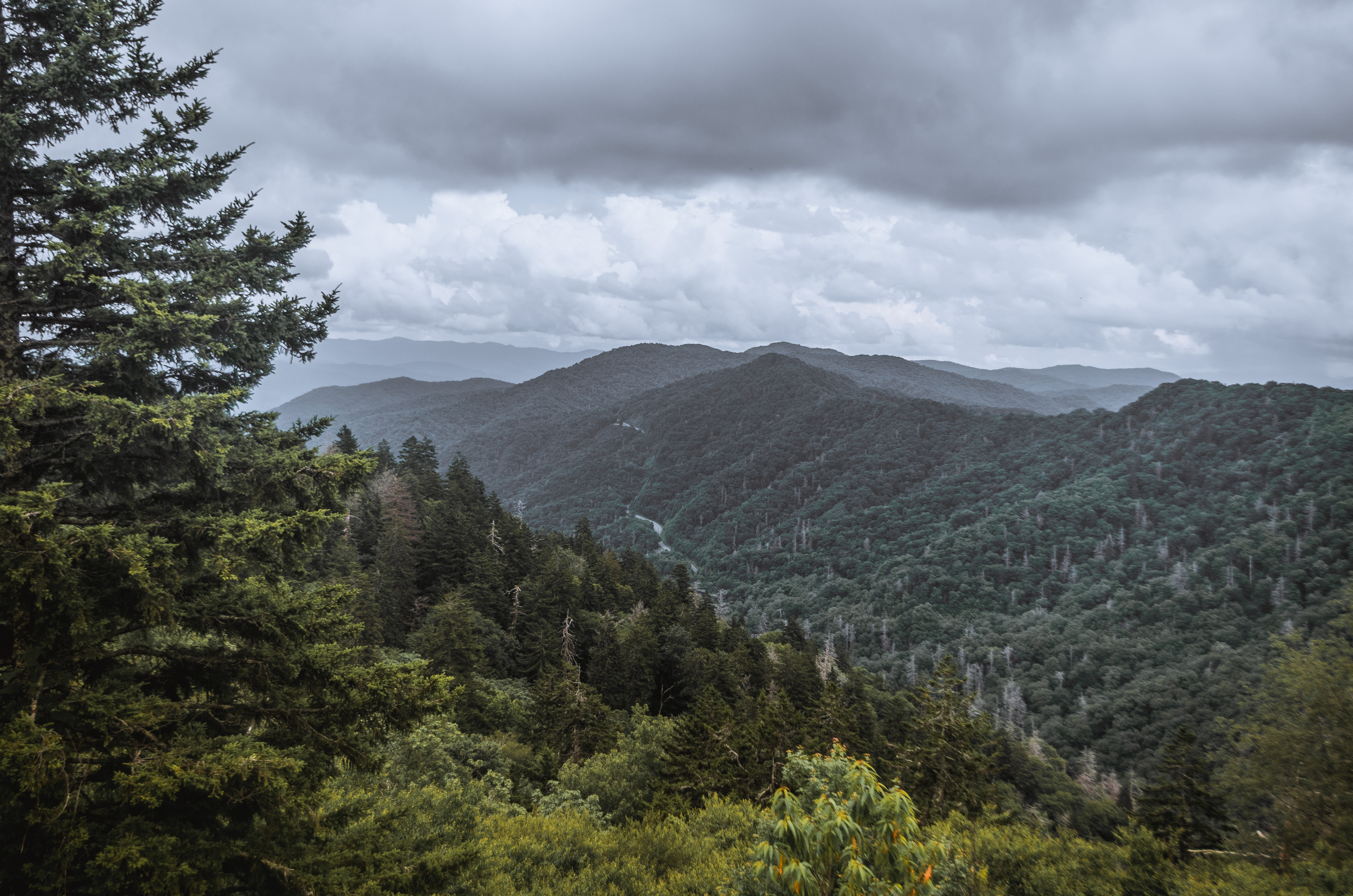 Clingmans Dome