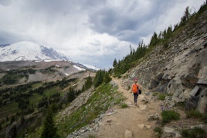 Hike Sunrise Trails at Mount Rainier