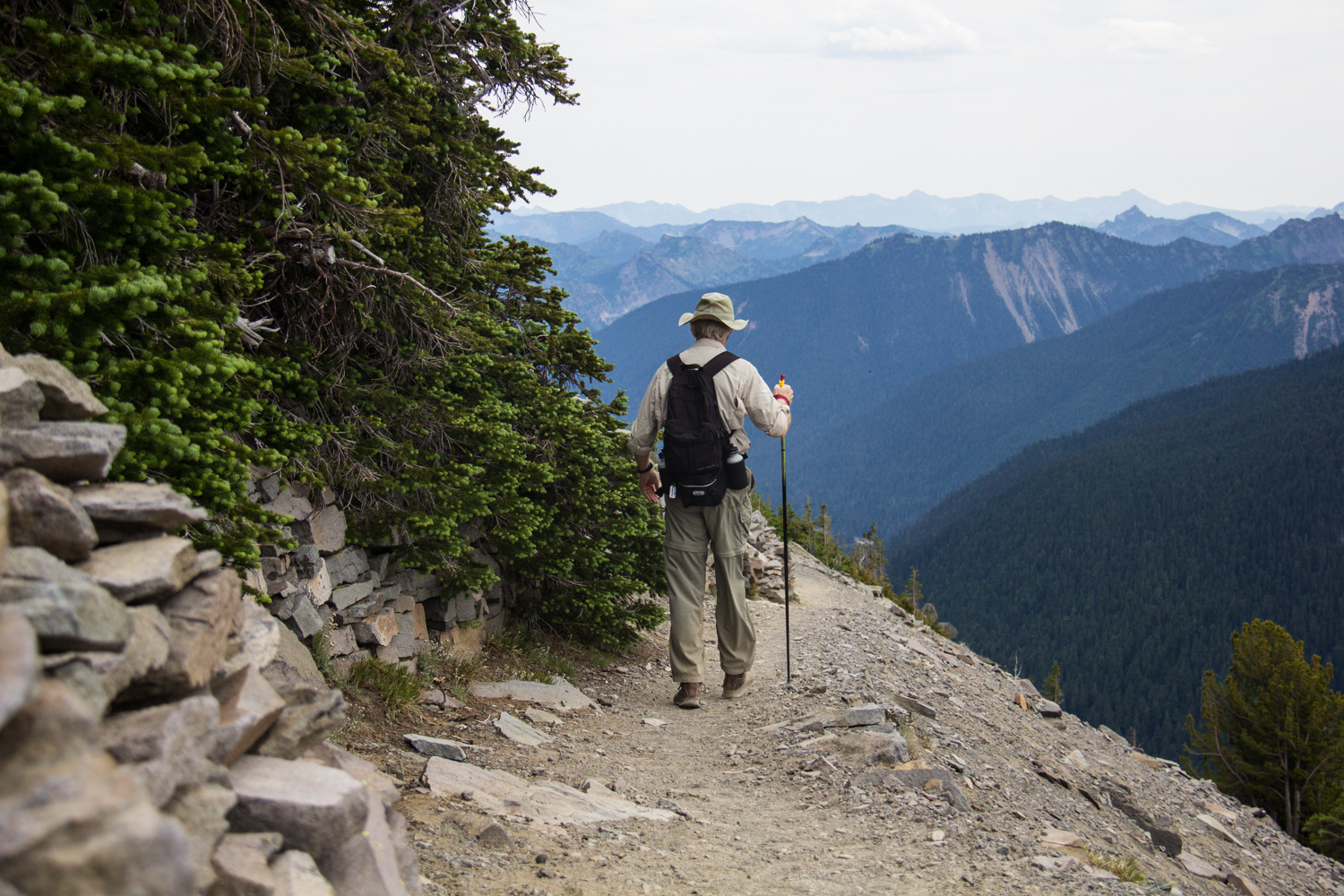 Hike Sunrise Trails at Mount Rainier