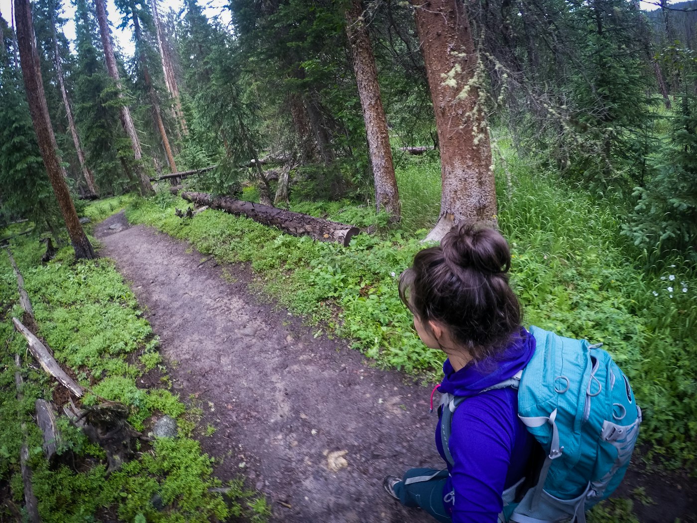 Photo of Granite Falls