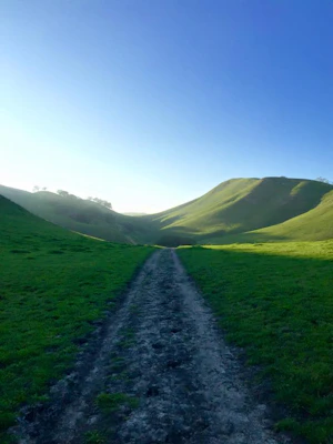 Hike the Old Homestead Loop, Black Diamond Mines Trails
