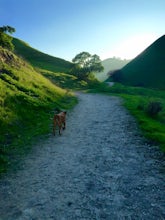 Hike the Old Homestead Loop