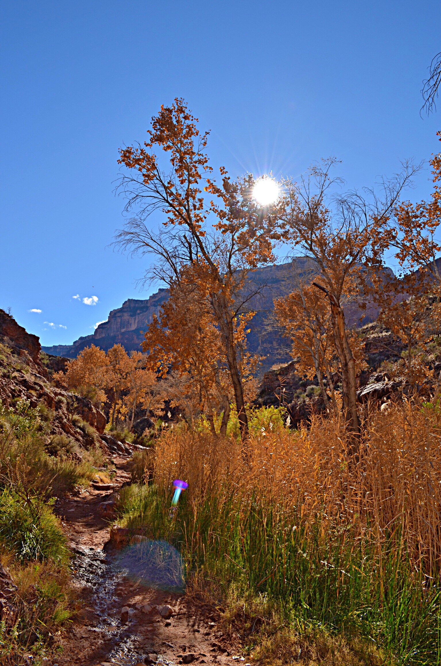 Backpack the Grand Canyon's South Rim
