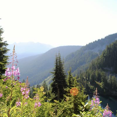 Backpack the Pacific Crest Trail's Section J: Stevens Pass to Snoqualmie Pass
