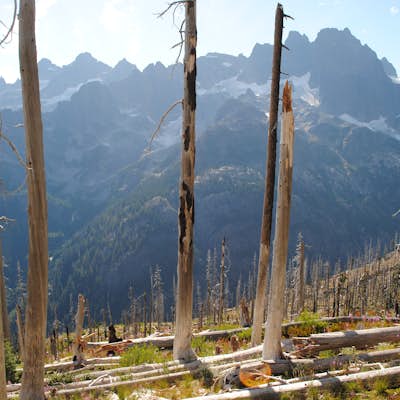 Backpack the Pacific Crest Trail's Section J: Stevens Pass to Snoqualmie Pass