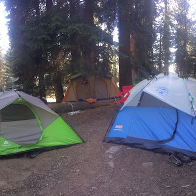 Camp at Dorst Creek 