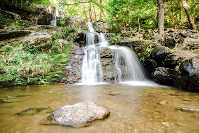 Hike Dark Hollow Falls, Dark Hollow Falls Trailhead