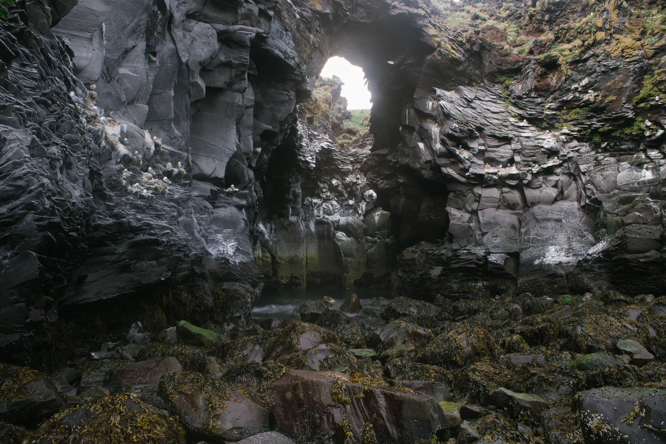 Explore Snæfellsjökull National Park