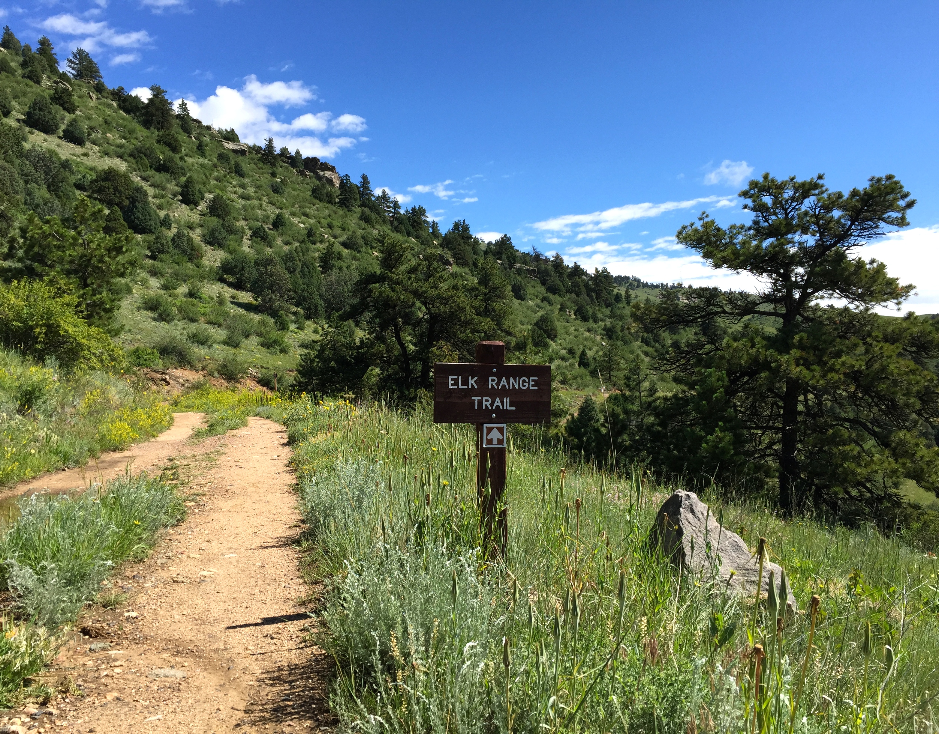 Elk Range Trail