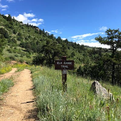 Hike the Elk Range Trail