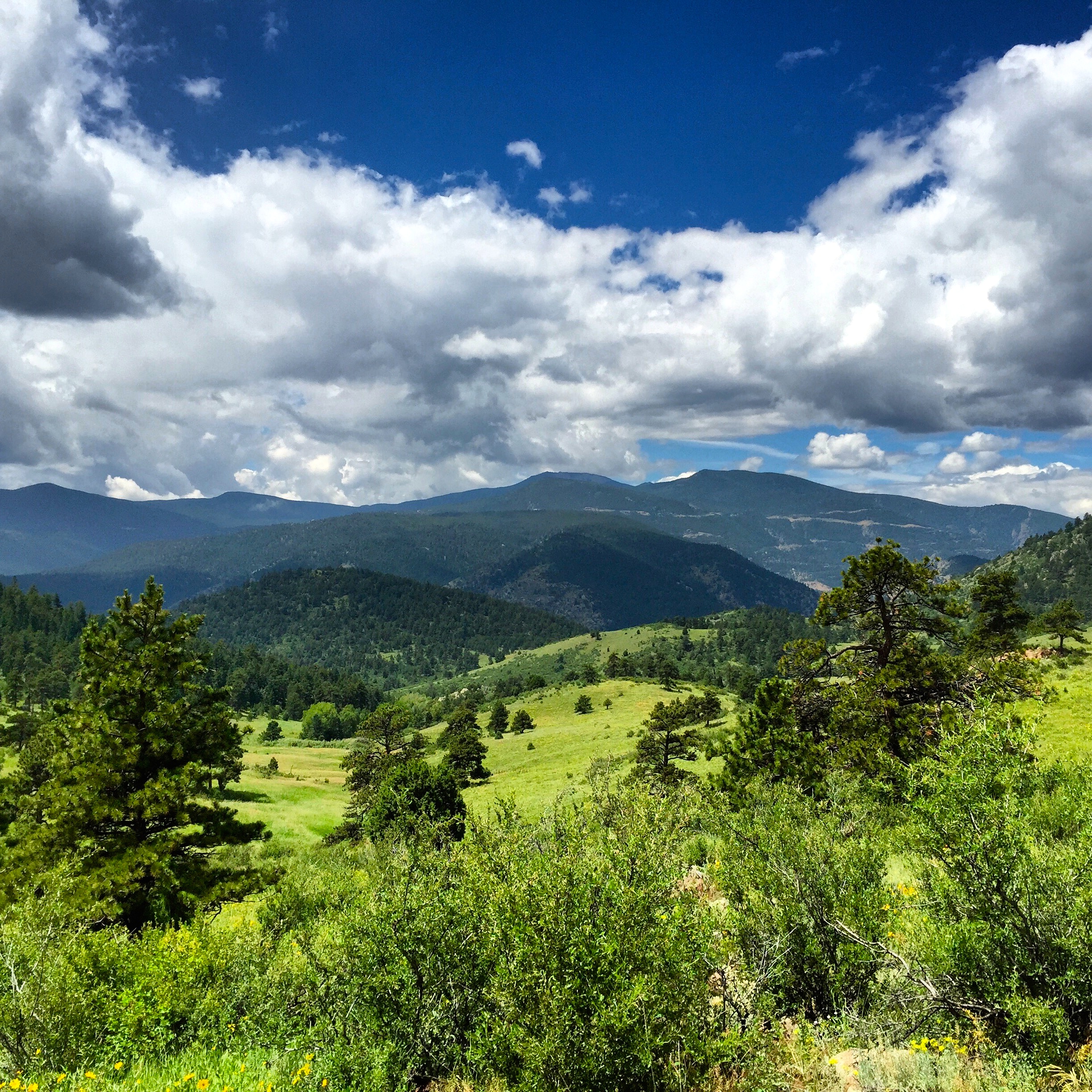 Elk Range Trail