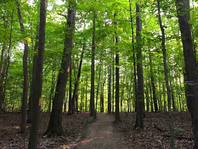 brandywine falls bike trail