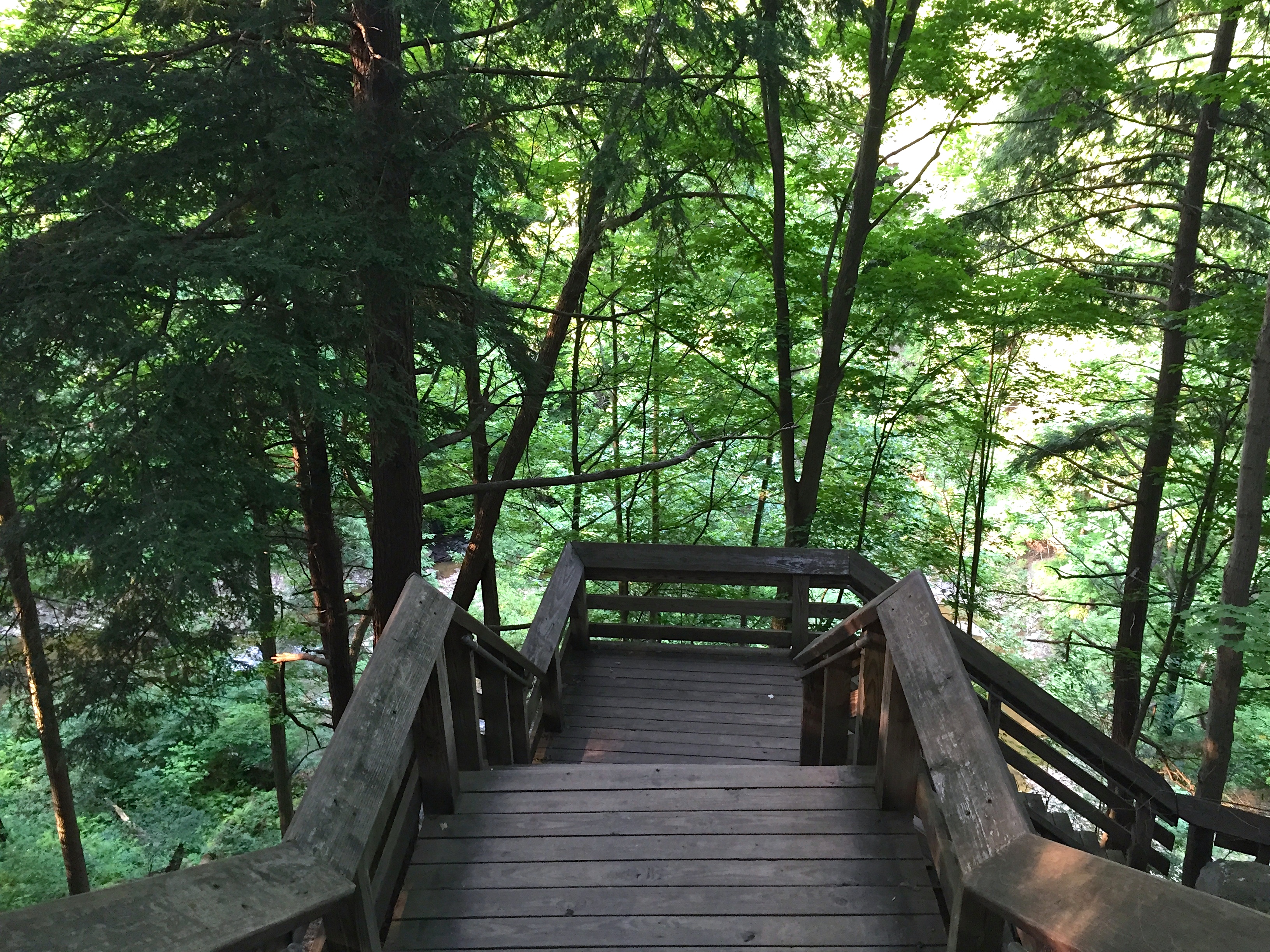 Brandywine Falls