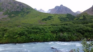 Hike the Gold Mint Trail