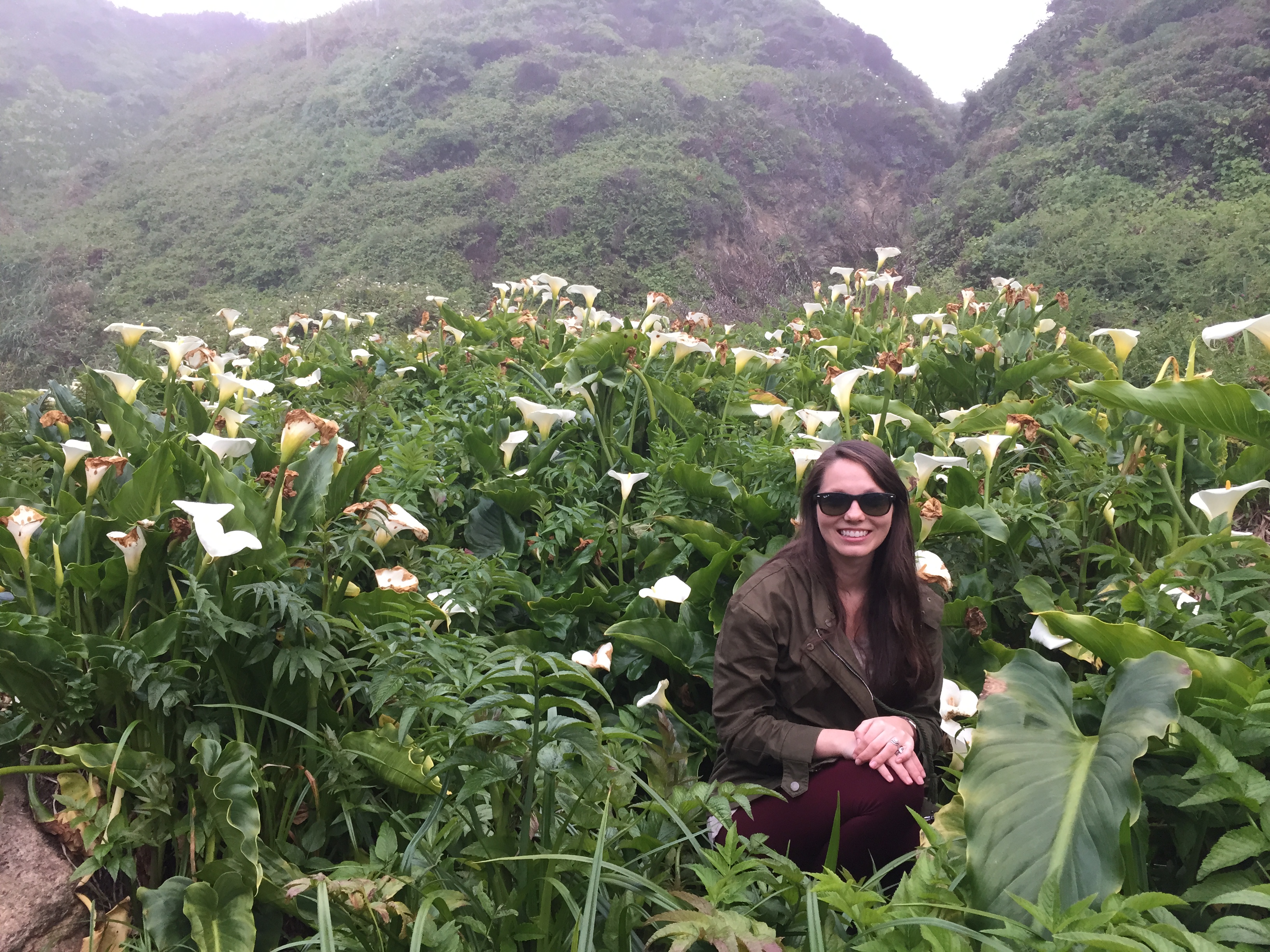 Calla Lily Valley