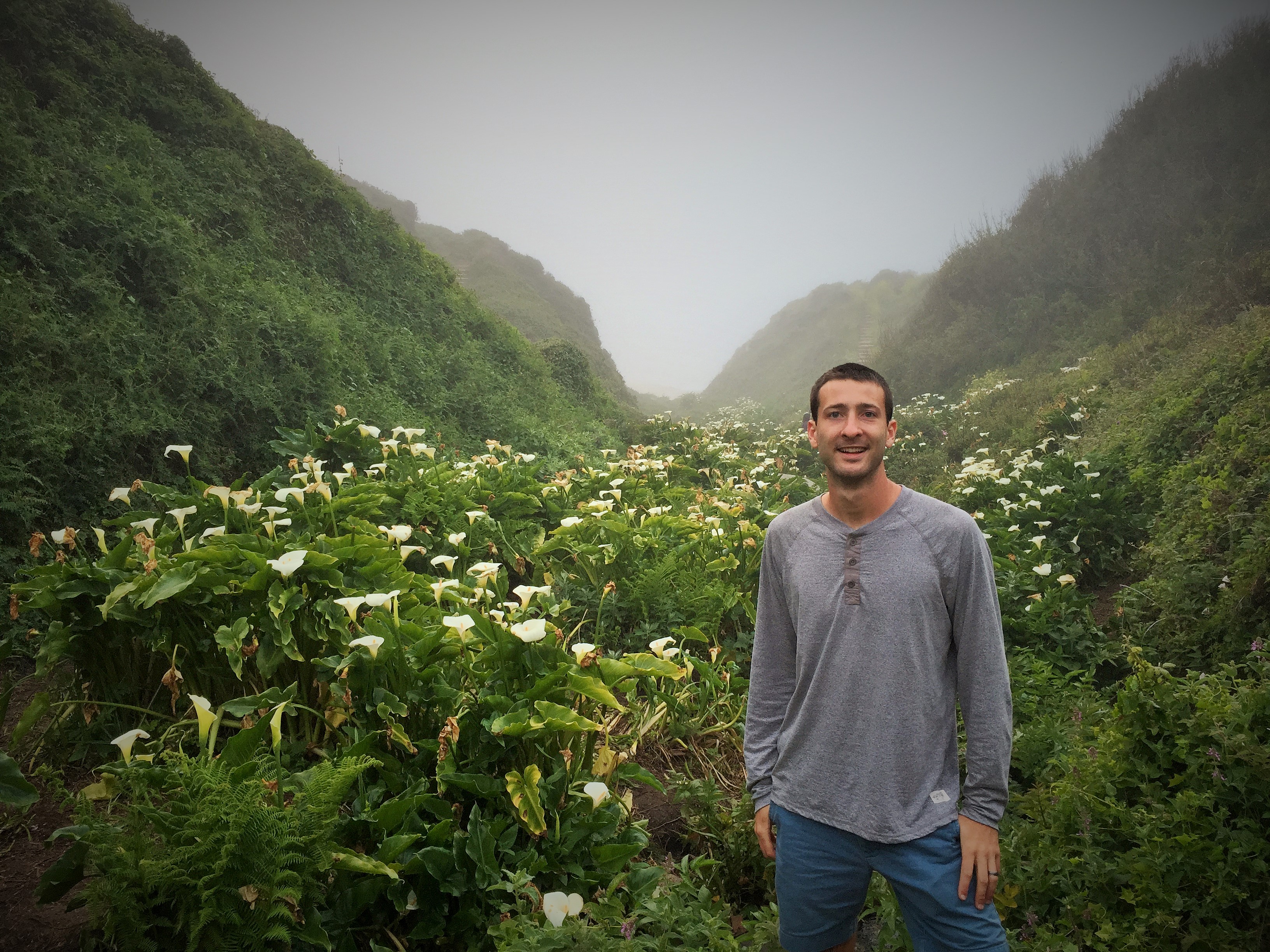 Calla Lily Valley
