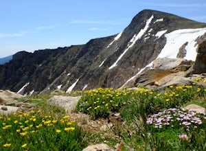 Flattop Mountain and Hallett Peak