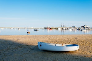 Camp in Provincetown at Dunes' Edge Campground