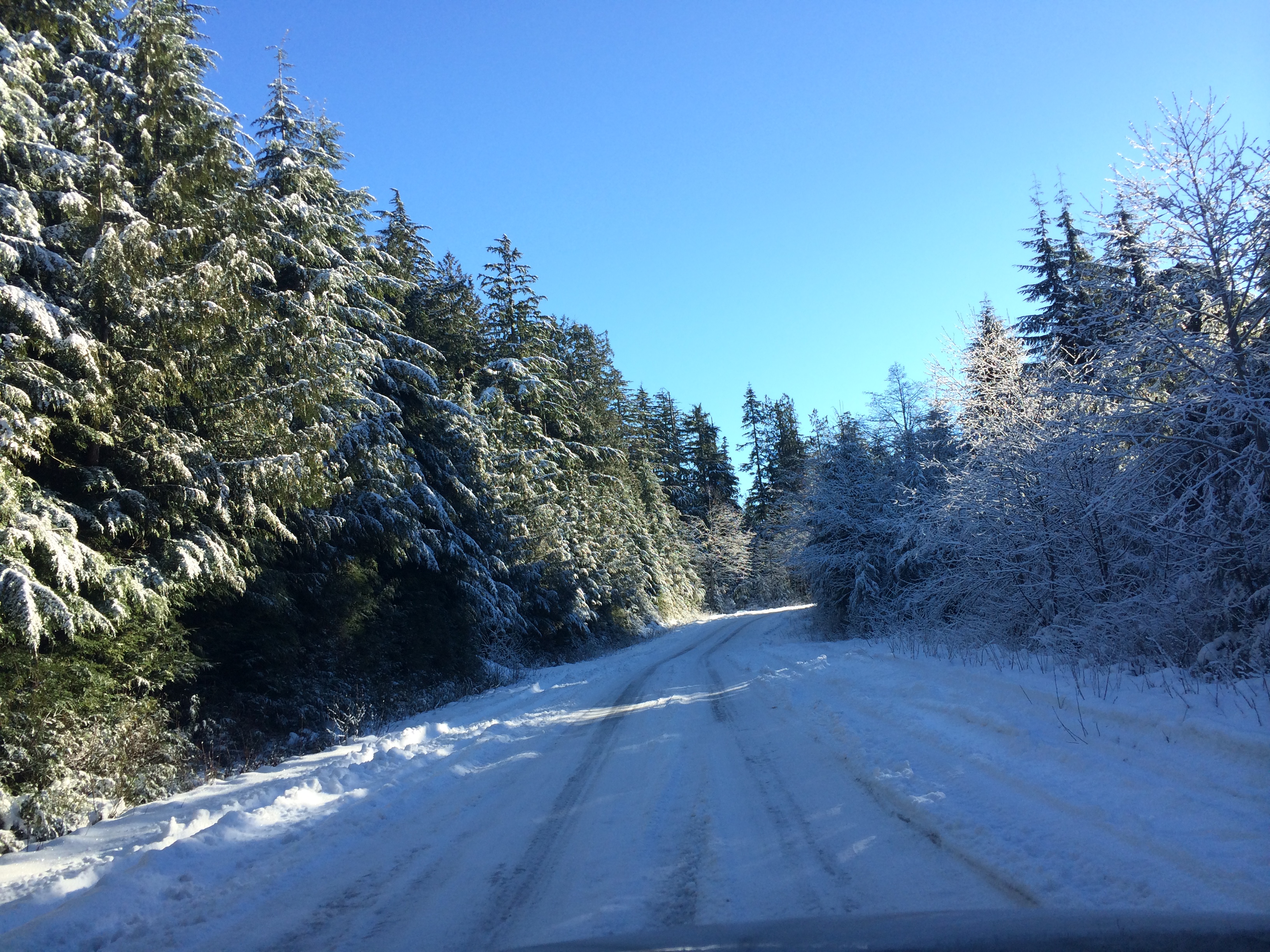 Pilchuck Snow Hike