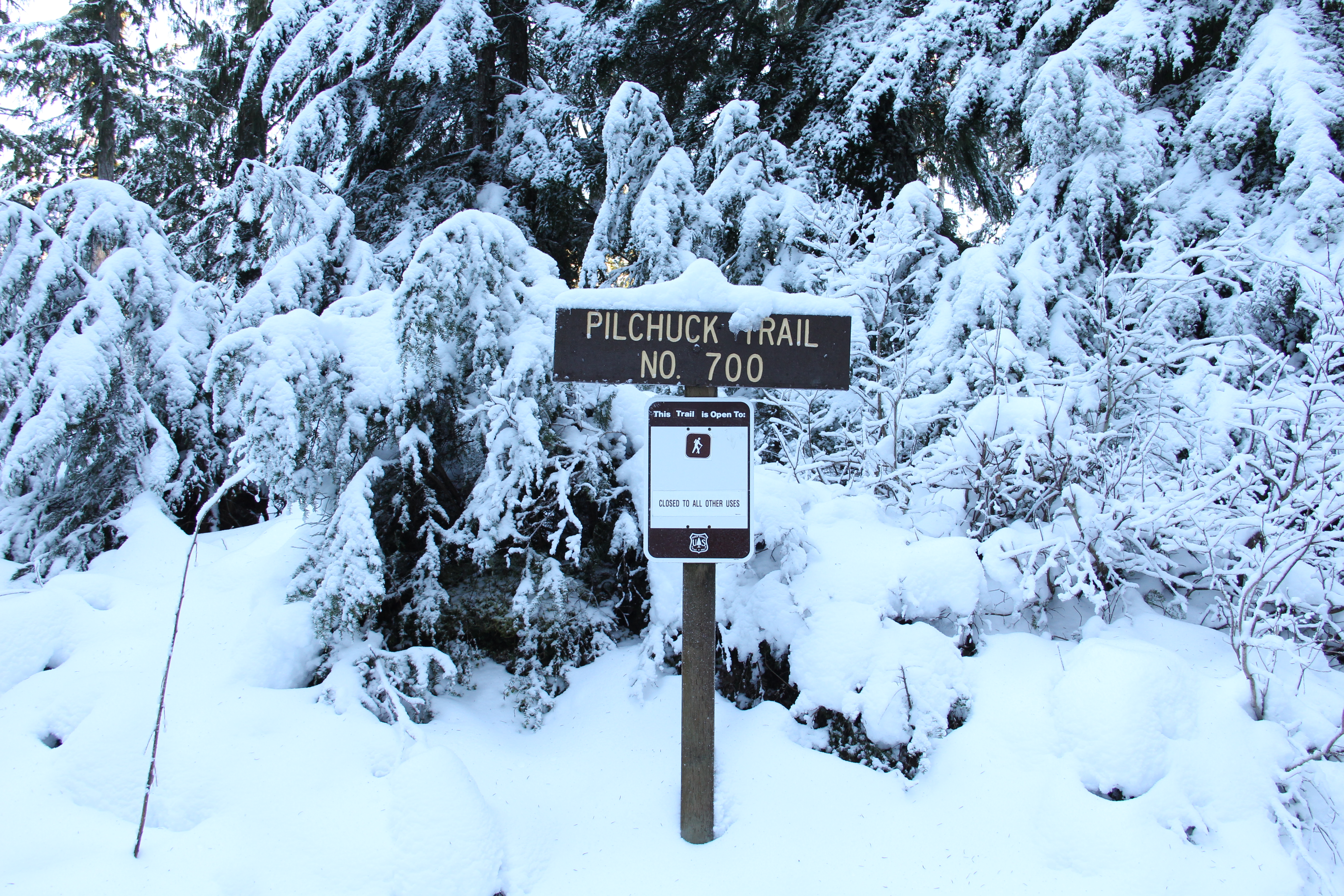 Pilchuck Snow Hike