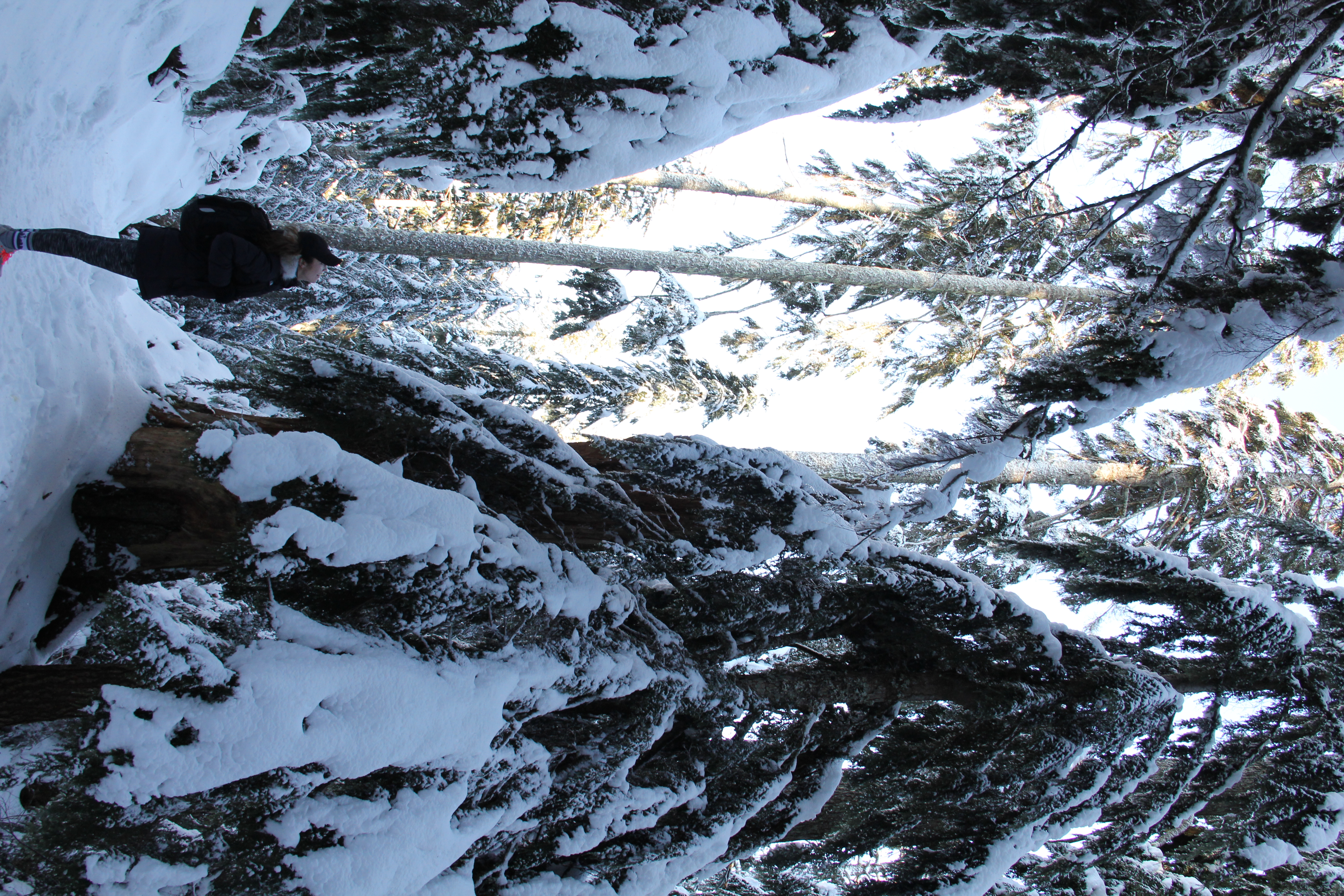 Pilchuck Snow Hike