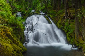 Hike to Little Zig Zag Falls