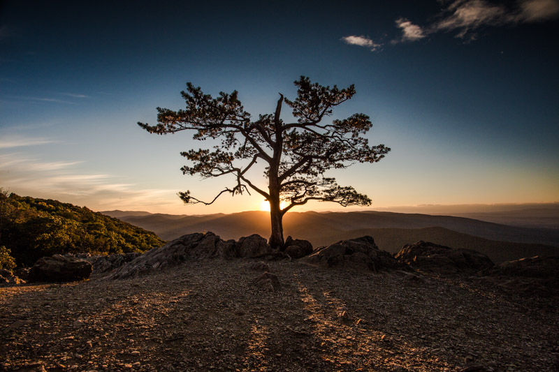 Ravens Roost Overlook