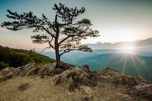 Explore Ravens Roost Overlook