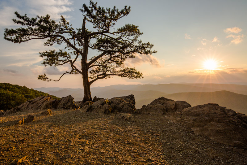 Ravens Roost Overlook