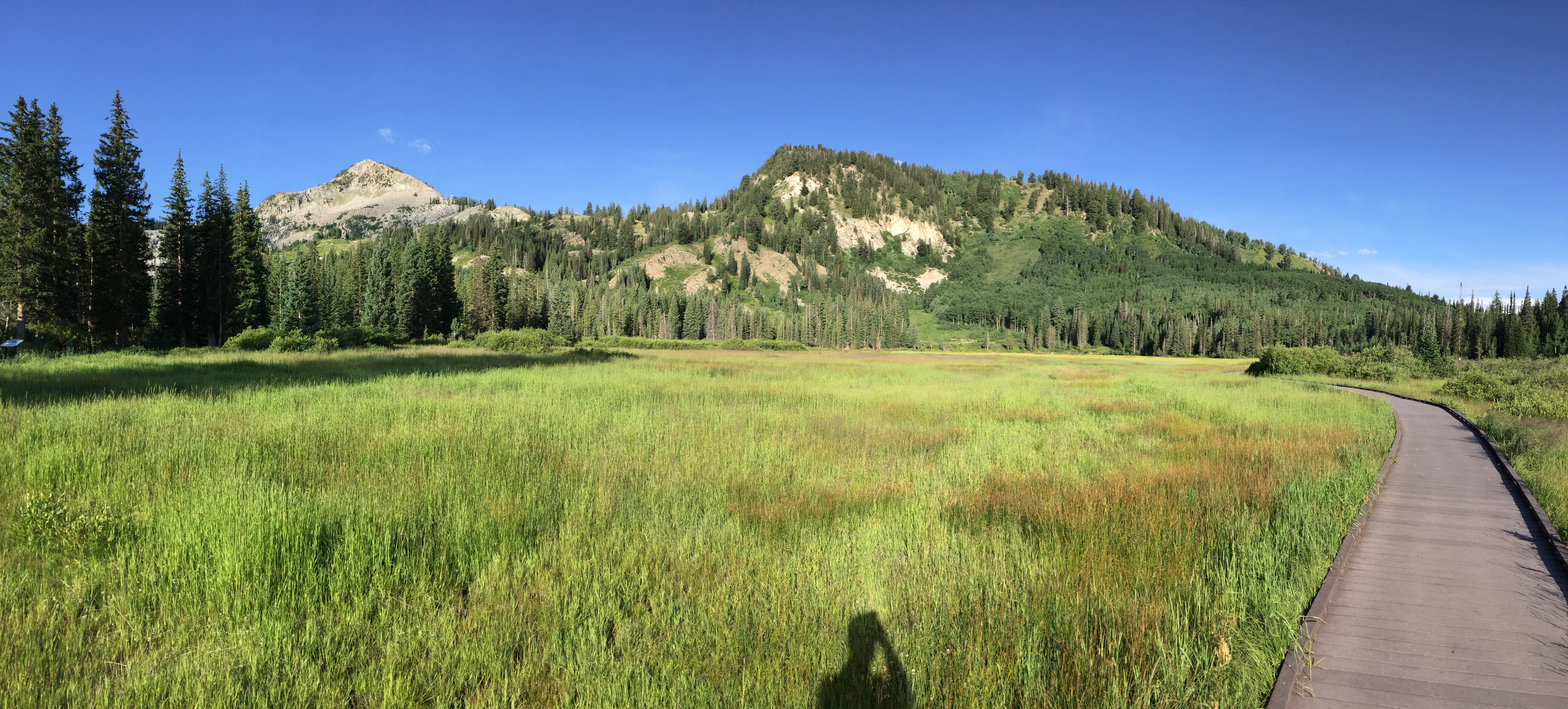 Cycle Big Cottonwood Canyon