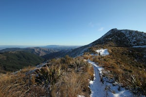 Backpack Silver Peaks Track 