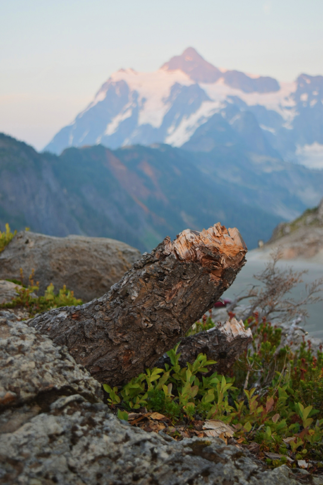 Explore Artist Point