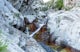 Explore Little Cottonwood Canyon's Lisa Falls