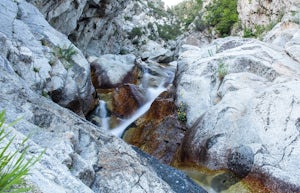 Explore Little Cottonwood Canyon's Lisa Falls