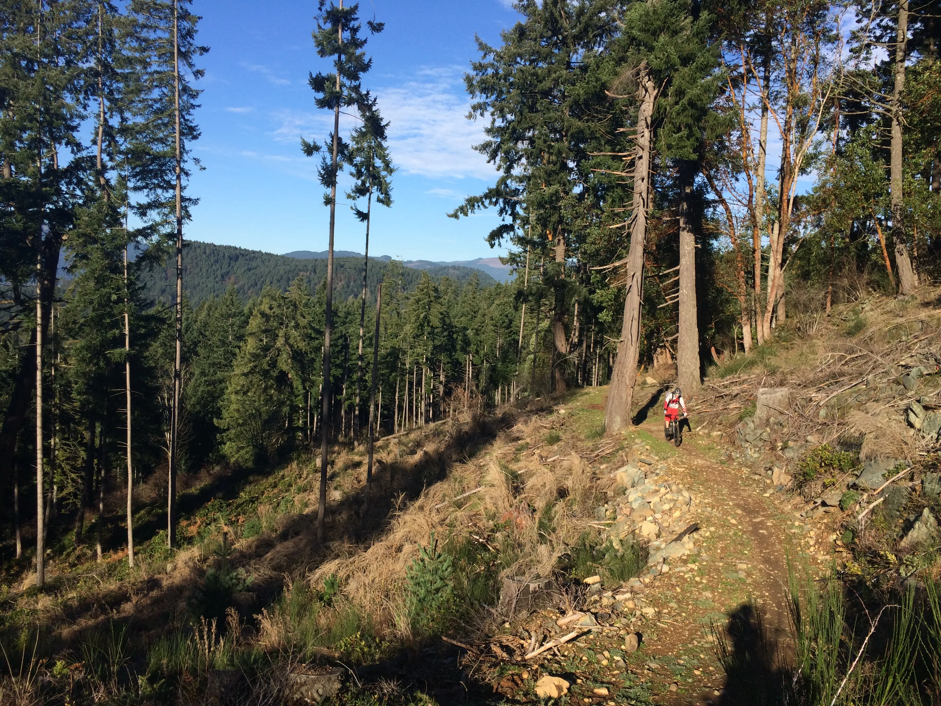 Mountain Bike Maple Mountain