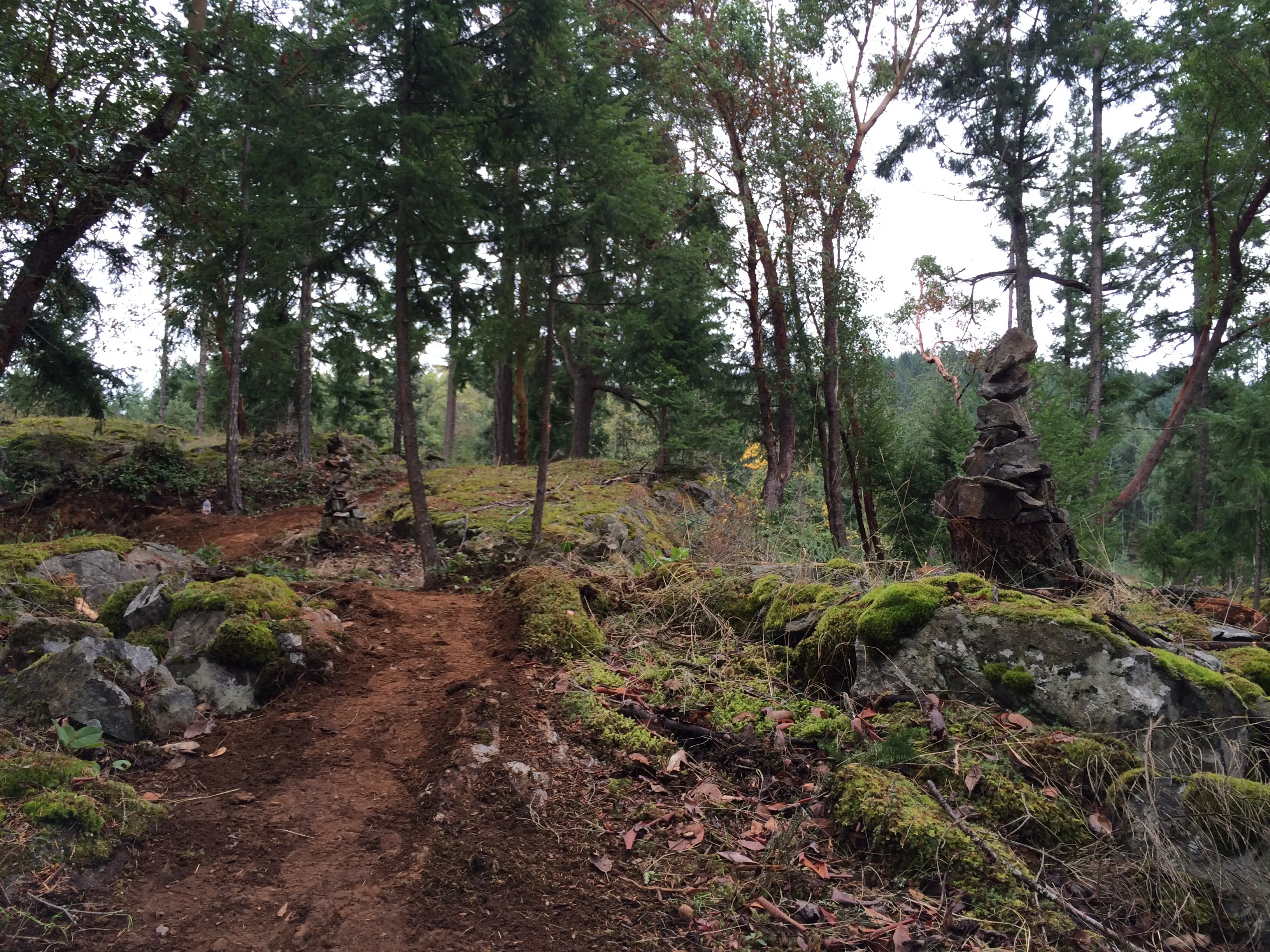 Mountain Bike Maple Mountain