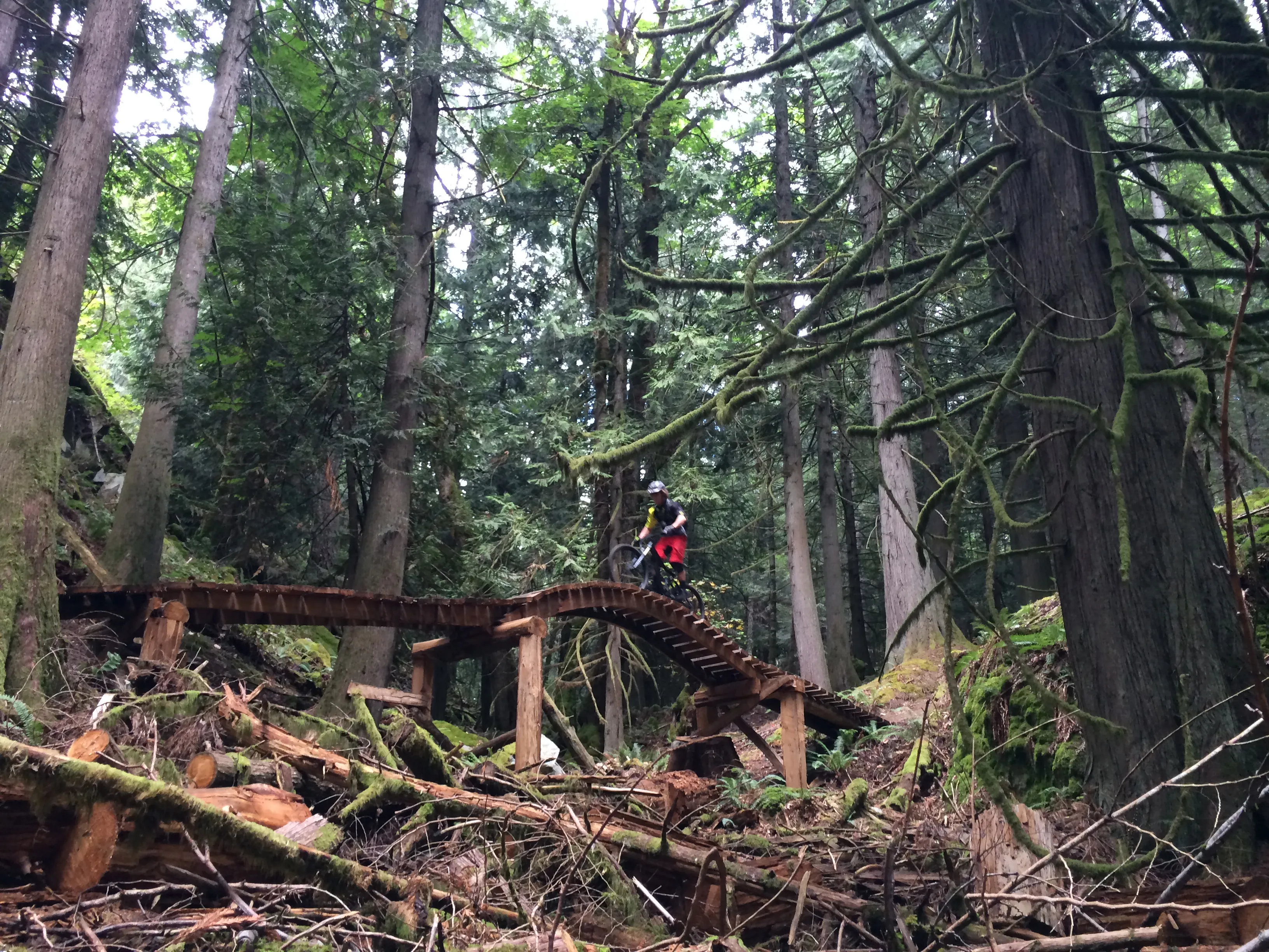 Mountain Bike Maple Mountain