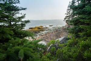 Explore Otter Point