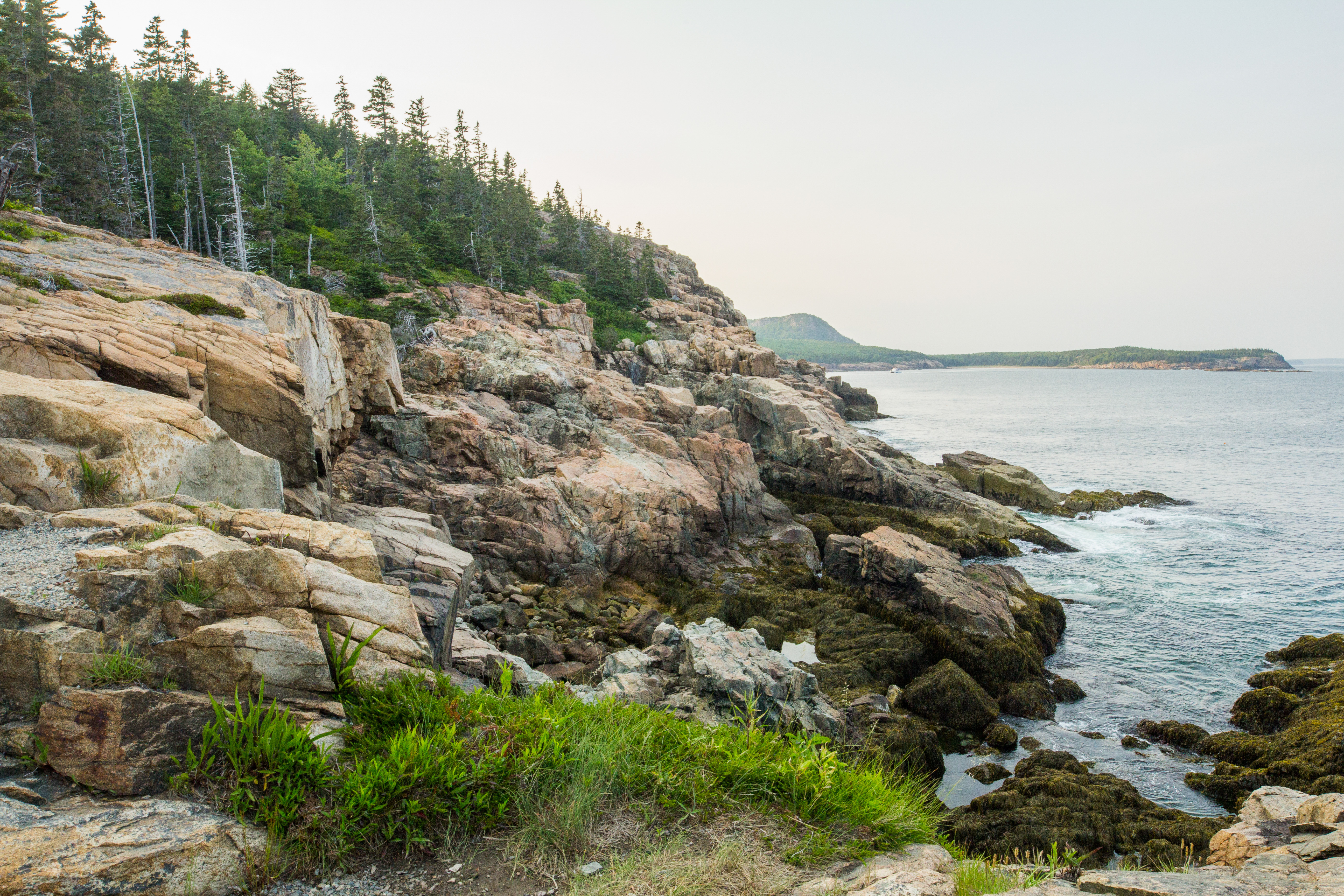 Otter Point